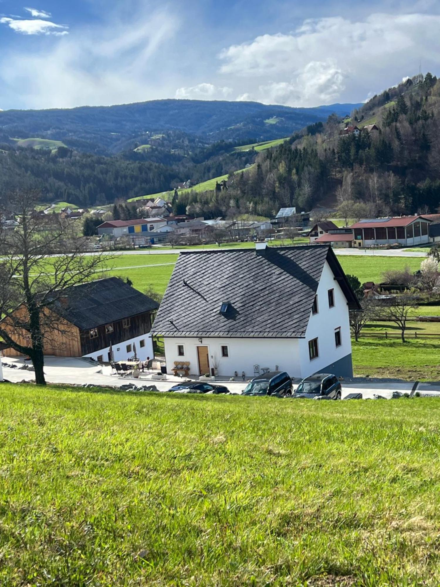 Sonnenschein Appartement- Und Ferienhaus Mit Terrasse Und Garten Eibiswald Exterior foto